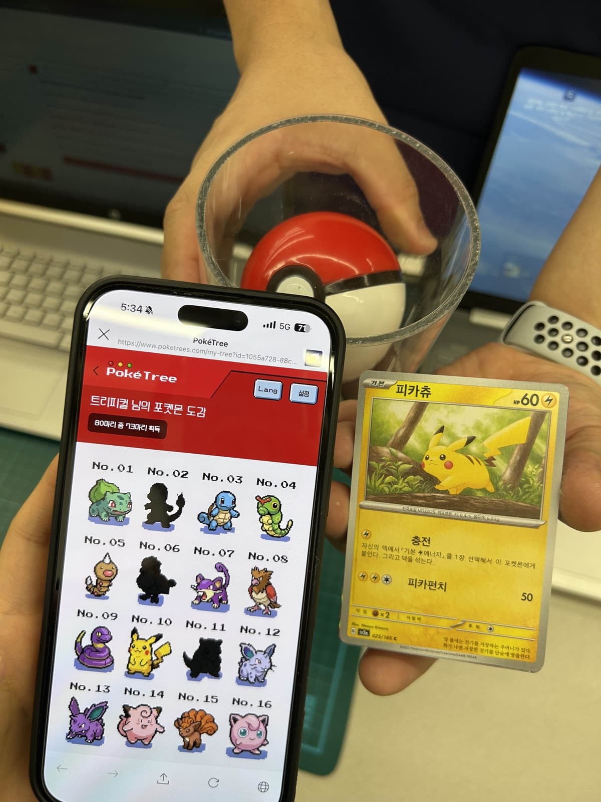 PokeTree character collection open on a real phone